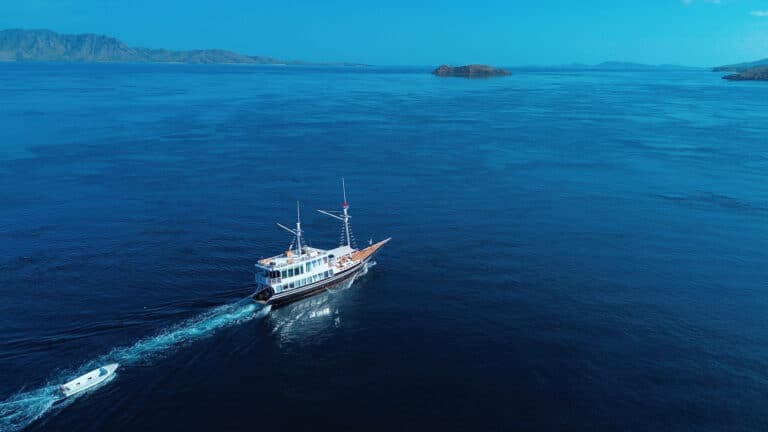 DCIM100MEDIADJI_0661.JPG Processed with VSCO with al3 preset