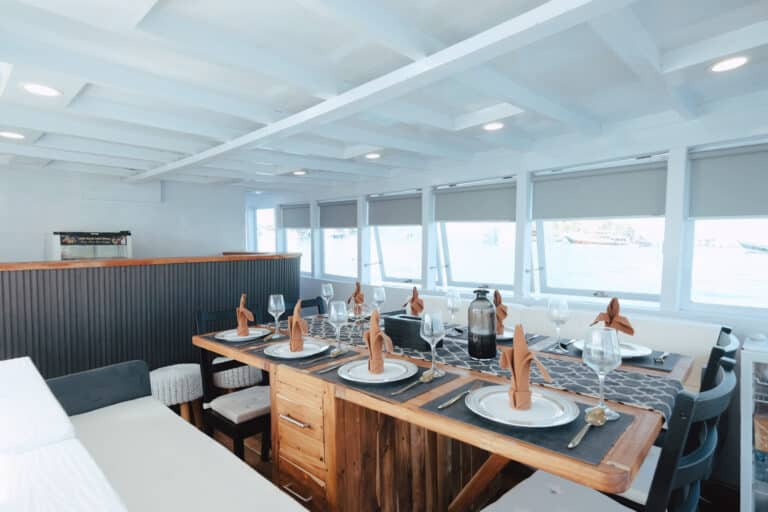 Created with RNI Films app. Profile 'Agfacolor 50's'